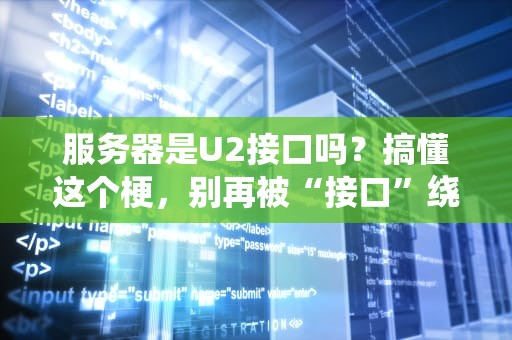 服务器是U2接口吗？搞懂这个梗，别再被“接口”绕晕了！