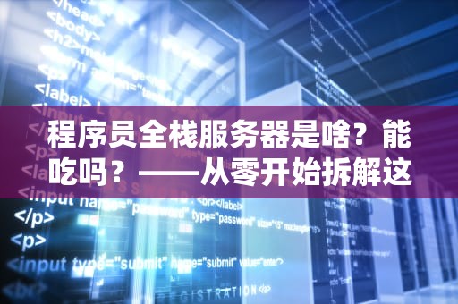 程序员全栈服务器是啥？能吃吗？——从零开始拆解这个“技术瑞士军刀”
