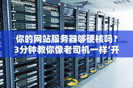 你的网站服务器够硬核吗？3分钟教你像老司机一样‘开箱验货’！