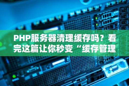 PHP服务器清理缓存吗？看完这篇让你秒变“缓存管理大师”！