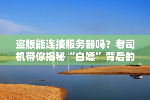 盗版能连接服务器吗？老司机带你揭秘“白嫖”背后的技术真相！