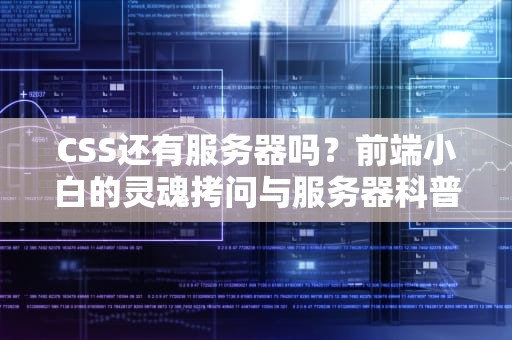 CSS还有服务器吗？前端小白的灵魂拷问与服务器科普指南