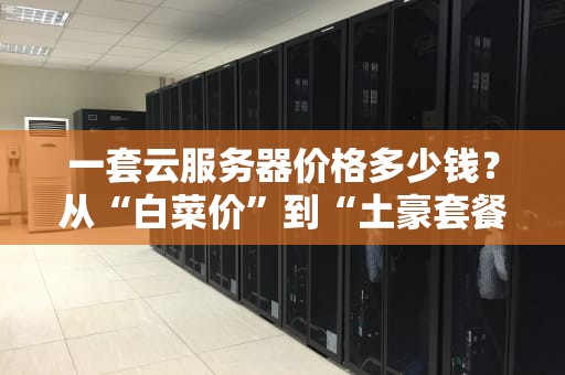 一套云服务器价格多少钱？从“白菜价”到“土豪套餐”全解析！