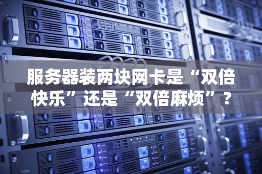 服务器装两块网卡是“双倍快乐”还是“双倍麻烦”？老司机实测避坑指南！