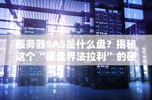 服务器SAS是什么盘？揭秘这个“硬盘界法拉利”的硬核实力！