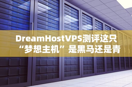 DreamHostVPS测评这只“梦想主机”是黑马还是青铜？老司机带你飙车实测！