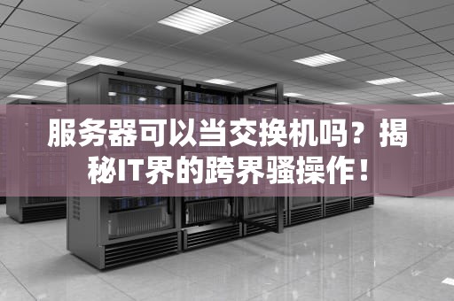 服务器可以当交换机吗？揭秘IT界的跨界骚操作！