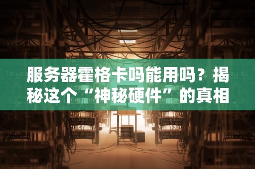 服务器霍格卡吗能用吗？揭秘这个“神秘硬件”的真相！