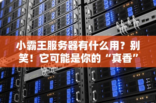 小霸王服务器有什么用？别笑！它可能是你的“真香”神器！