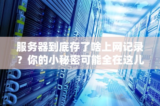服务器到底存了啥上网记录？你的小秘密可能全在这儿！