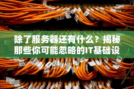 除了服务器还有什么？揭秘那些你可能忽略的IT基础设施“隐形大佬”