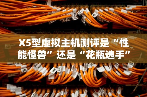 X5型虚拟主机测评是“性能怪兽”还是“花瓶选手”？看完这篇再剁手！
