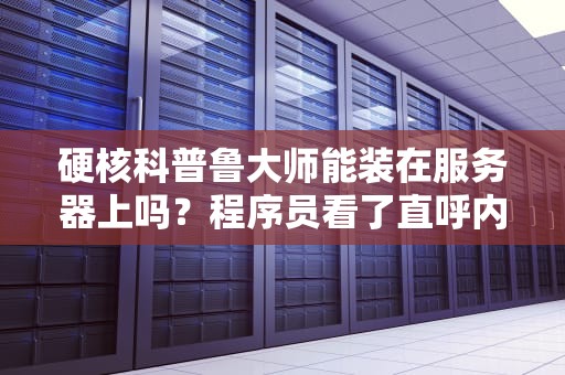 硬核科普鲁大师能装在服务器上吗？程序员看了直呼内行！