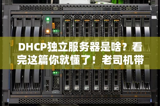 DHCP独立服务器是啥？看完这篇你就懂了！老司机带你避坑！
