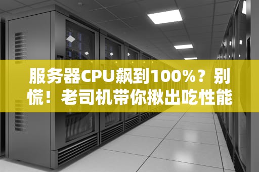 服务器CPU飙到100%？别慌！老司机带你揪出吃性能的真凶