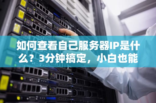 如何查看自己服务器IP是什么？3分钟搞定，小白也能变大神！