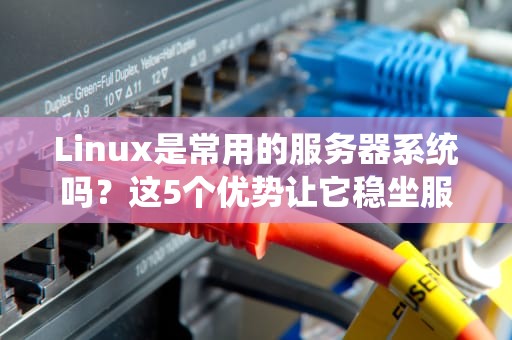 Linux是常用的服务器系统吗？这5个优势让它稳坐服务器界扛把子！
