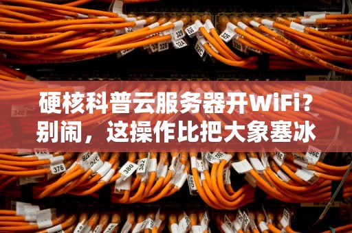 硬核科普云服务器开WiFi？别闹，这操作比把大象塞冰箱还离谱！