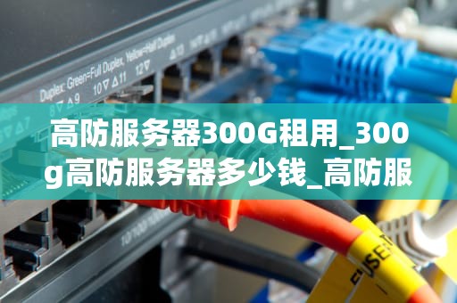 高防服务器300G租用_300g高防服务器多少钱_高防服务器300G租用的重要性及其优势