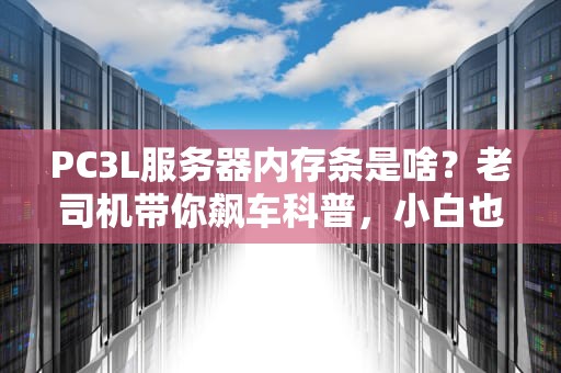 PC3L服务器内存条是啥？老司机带你飙车科普，小白也能秒懂！