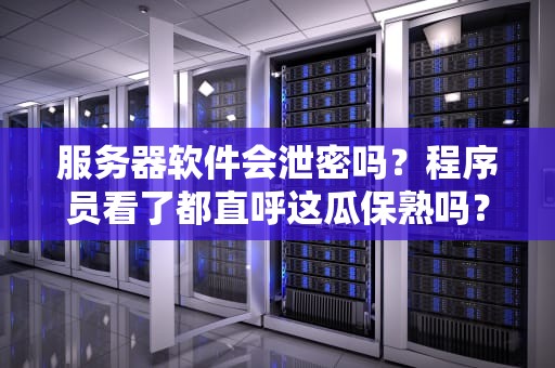 服务器软件会泄密吗？程序员看了都直呼这瓜保熟吗？