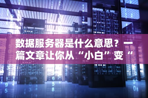 服务器密码机是干什么的？揭秘这个数字保险柜的硬核操作！