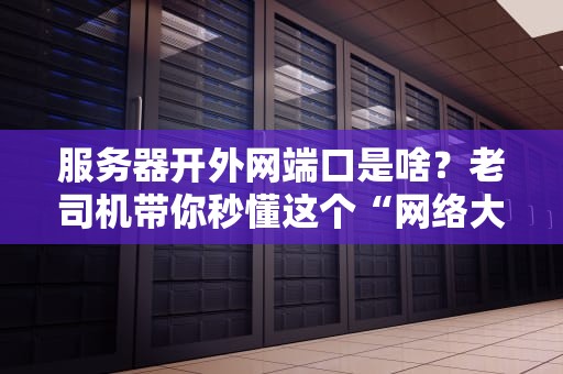 服务器开外网端口是啥？老司机带你秒懂这个“网络大门”的骚操作！