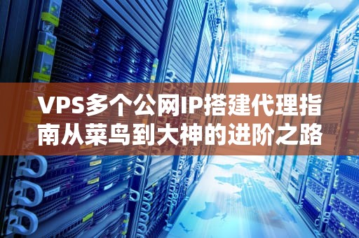 VPS多个公网IP搭建代理指南从菜鸟到大神的进阶之路