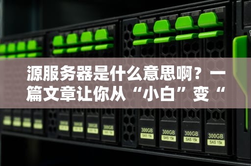 源服务器是什么意思啊？一篇文章让你从“小白”变“大神”！