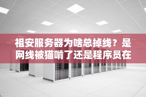 祖安服务器为啥总掉线？是网线被猫啃了还是程序员在摸鱼？
