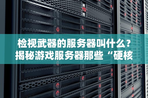 检视武器的服务器叫什么？揭秘游戏服务器那些“硬核装备”