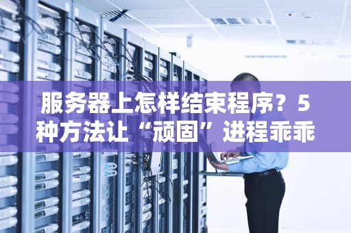 服务器上怎样结束程序？5种方法让“顽固”进程乖乖退散！