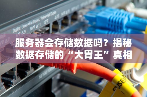 服务器会存储数据吗？揭秘数据存储的“大胃王”真相！