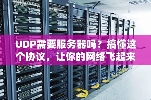 UDP需要服务器吗？搞懂这个协议，让你的网络飞起来！