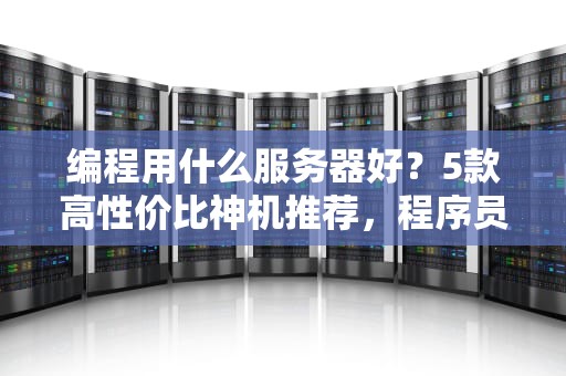 编程用什么服务器好？5款高性价比神机推荐，程序员看了直呼内行！