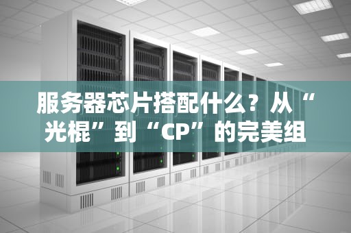 服务器芯片搭配什么？从“光棍”到“CP”的完美组合指南！
