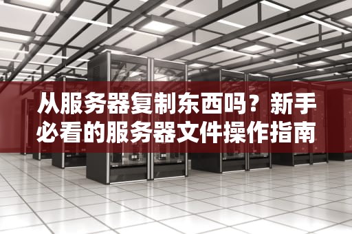 从服务器复制东西吗？新手必看的服务器文件操作指南（附骚操作）