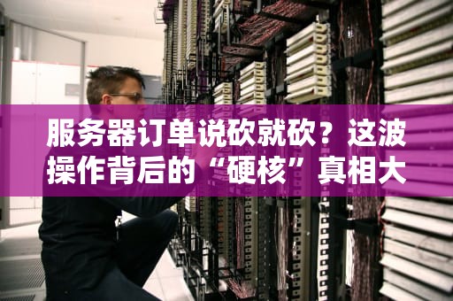 服务器订单说砍就砍？这波操作背后的“硬核”真相大揭秘！