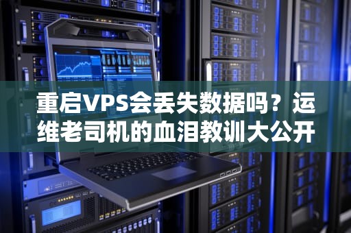 重启VPS会丢失数据吗？运维老司机的血泪教训大公开