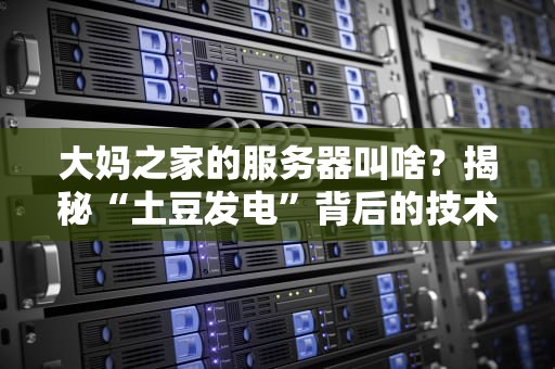 大妈之家的服务器叫啥？揭秘“土豆发电”背后的技术玄学！