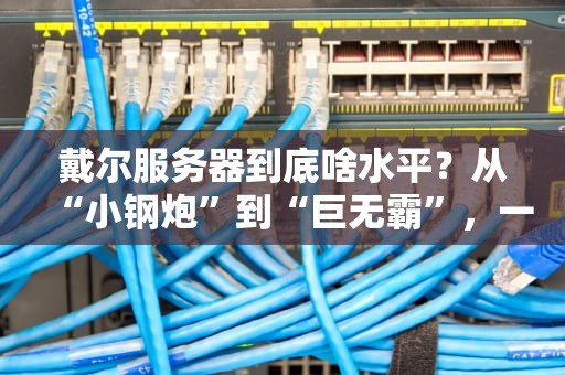 戴尔服务器到底啥水平？从“小钢炮”到“巨无霸”，一篇让你笑出腹肌的硬核测评！