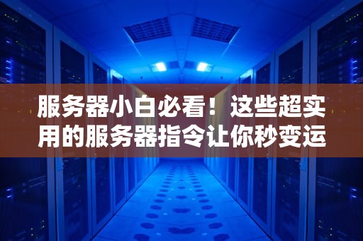 服务器小白必看！这些超实用的服务器指令让你秒变运维大神（附详细示例）
