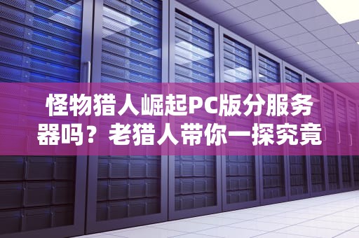 怪物猎人崛起PC版分服务器吗？老猎人带你一探究竟！