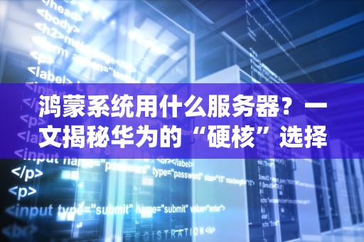 服务器系统选型指南从Linux到Windows，哪个才是你的真命天子？