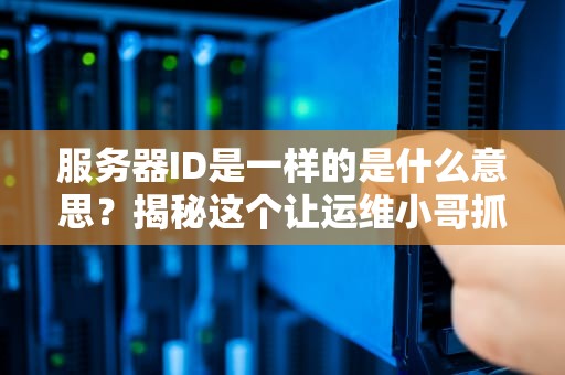 服务器ID是一样的是什么意思？揭秘这个让运维小哥抓狂的小秘密！