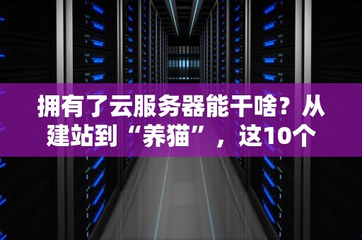 拥有了云服务器能干啥？从建站到“养猫”，这10个玩法让你秒变技术大神！
