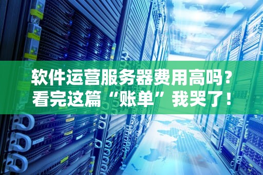 软件运营服务器费用高吗？看完这篇“账单”我哭了！