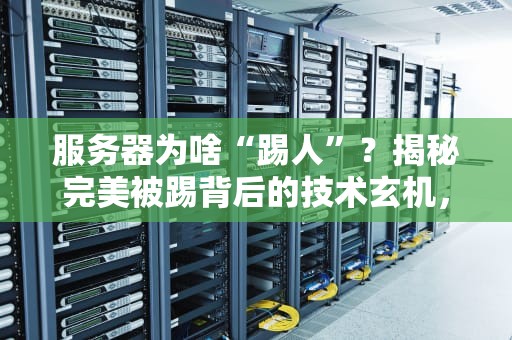 服务器为啥“踢人”？揭秘完美被踢背后的技术玄机，笑中带泪的运维日常！