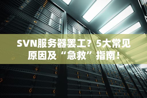 SVN服务器罢工？5大常见原因及“急救”指南！