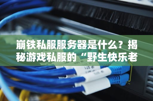 崩铁私服服务器是什么？揭秘游戏私服的“野生快乐老家”